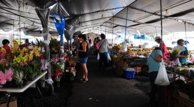 Hilo farmers market