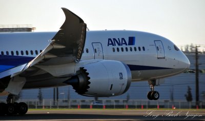 nose up 787
