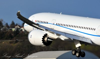 Beautiful 787 Wing