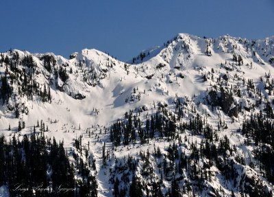 Ridge on Mount Lena