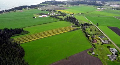 Ebey's Landing National Historical Reserve