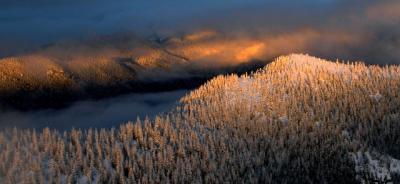 Golden ridges by Mt. Rainier