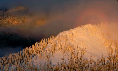 Circular Rainbow on golden ridge