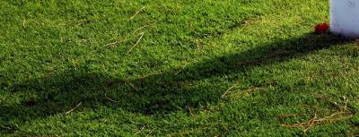 cross shadow