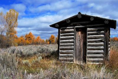 cabin in park