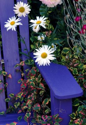flowers and blue chair