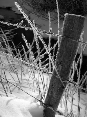 frozen fence post, Jackson Hole, Wyoming