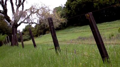 wired fence