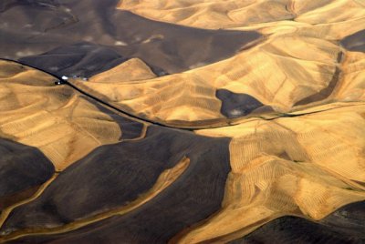 crossing the wheatfield