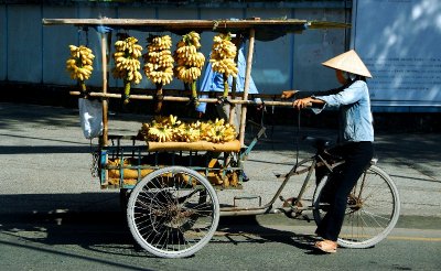 fresh banana