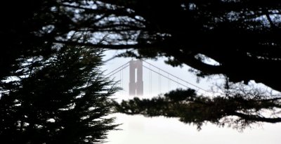 Golden Gate through trees