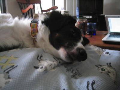 IMG_1349.JPG