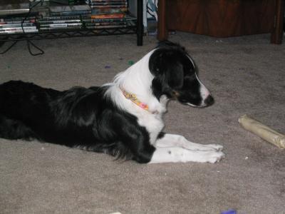 IMG_1357.JPG