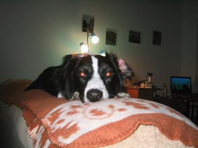 IMG_1429.JPG