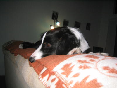 IMG_1444.JPG