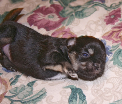 Sara 3 weeks