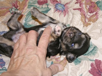 Charlie 3 weeks