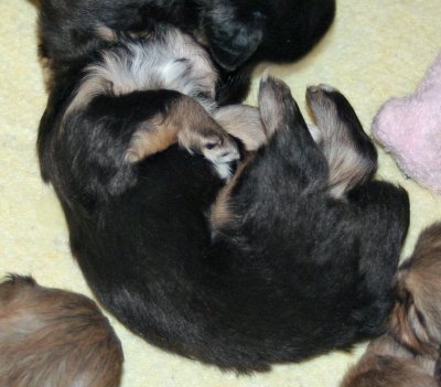 Upside Down is Comfy!
