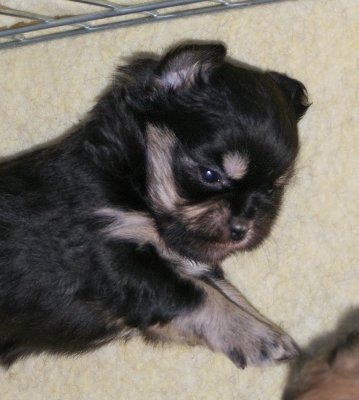 Sara 4 weeks