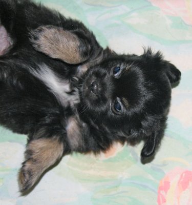 IKe 5 weeks
