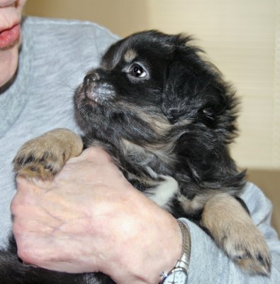 Ike 7 weeks