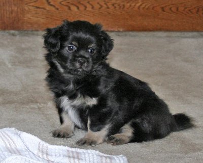 Ike 7 weeks