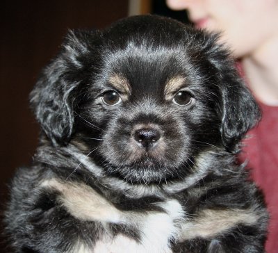 Ike 7 weeks