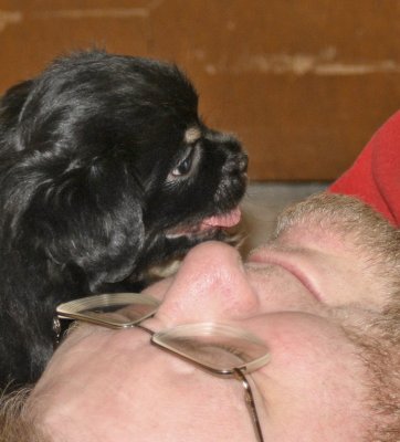 IKe 8 weeks