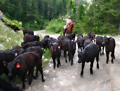 Cattle Drive 2