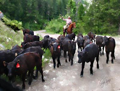 g3/96/68796/3/52973318.cattle2.jpg
