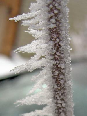 IMG_4990s.jpg