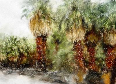 Snowy Palms