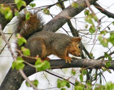 High Habitat