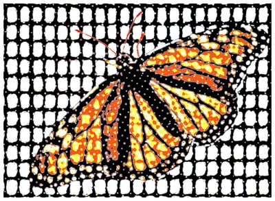 Al's Butterfly