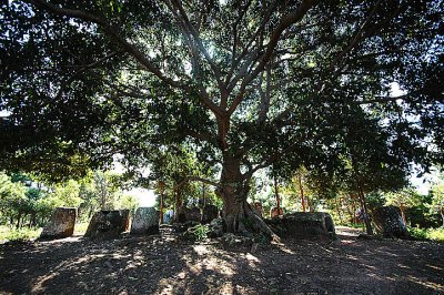 Plain of Jars Sites 2