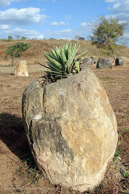 Plain of Jars Sites 1