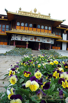 Norbulingka Summer Palace