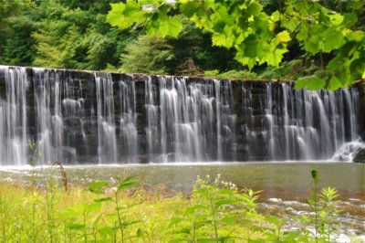 DSC_3425.JPG.jpg