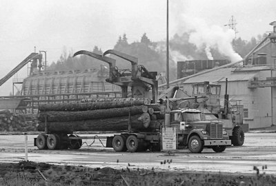 Logging In Oregon