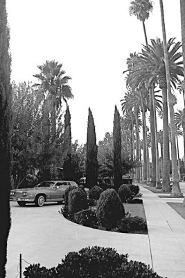 Beverly Hills Opulance