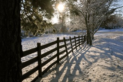 Snowy Fence.jpg