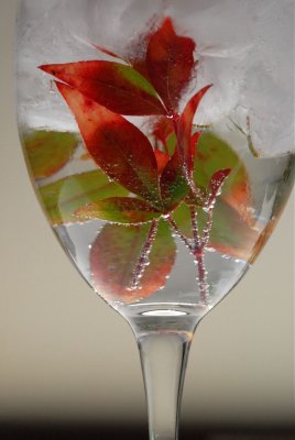 Leaves in Wine Glass.jpg