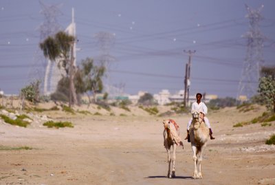 UAE Desert