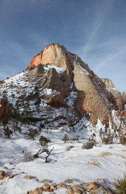 zion50001-zion50004.jpg