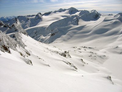 white1.jpg