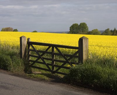 A Shropshire View