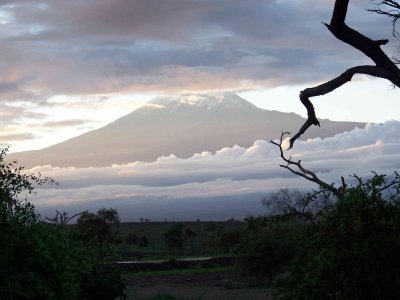 Kili in the morning; it is usually obscured by clouds during the middle of the day-2759