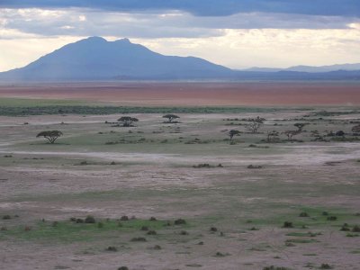 Red swath is Amboseli Lake (seasonal, hasn't been seen for a few years)-3042