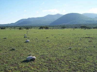 White stones mark the runway-4221