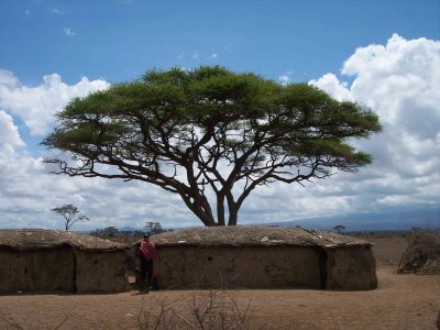 Masai manyatta-4260